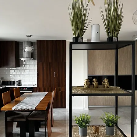 Home&home Wola Apartament